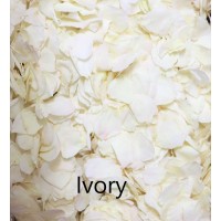 2 x Flower Girl Baskets with Rose Petals